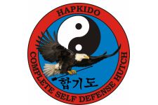 Photo of Hapkido Photo of Hapkido